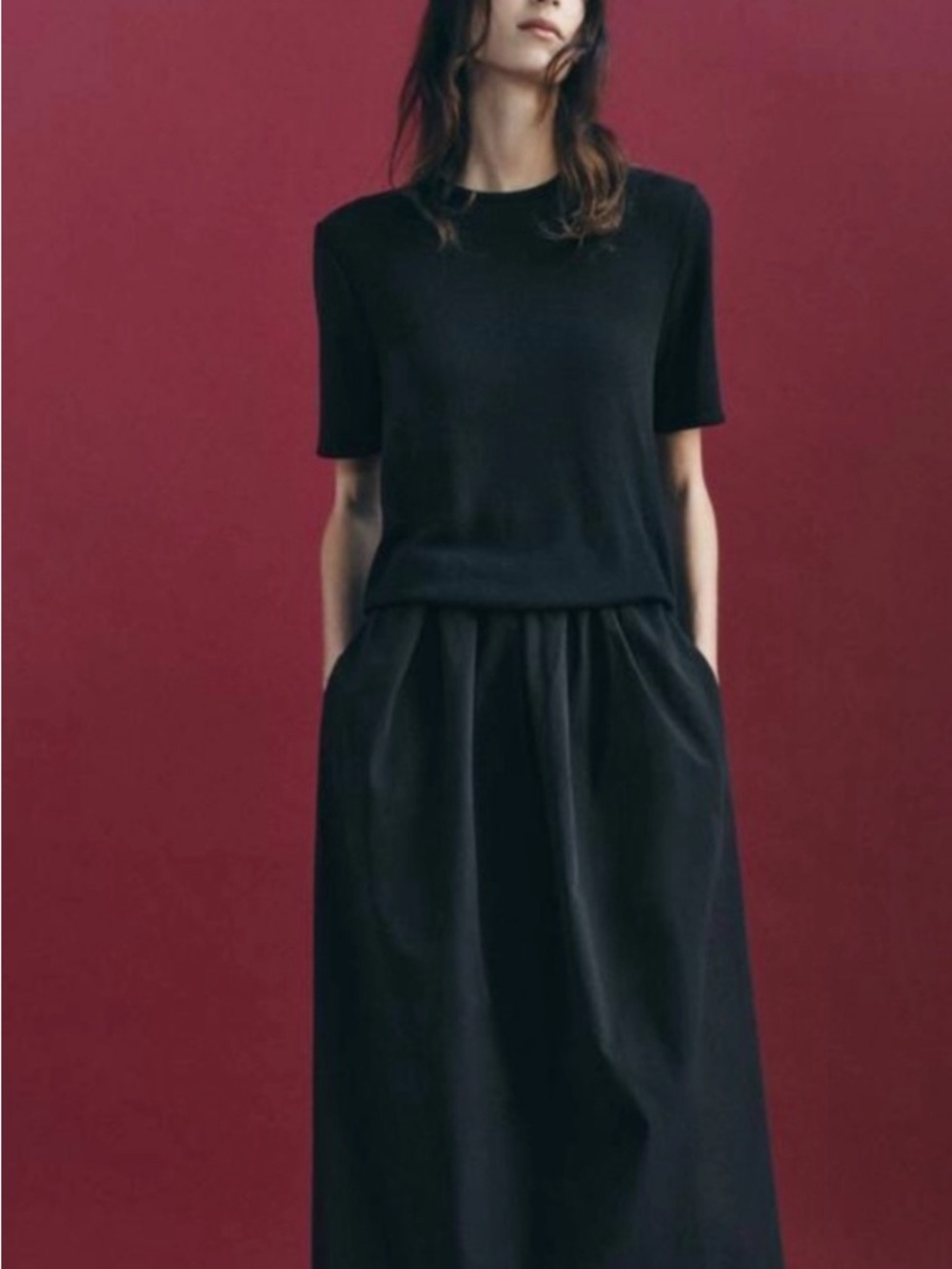 Zara dress NWT